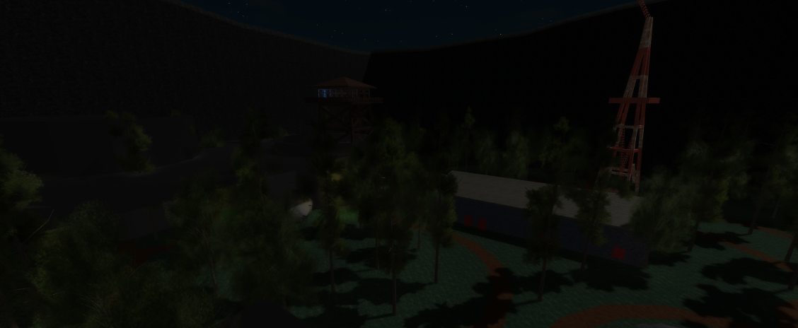 Nighttime Forest Scene